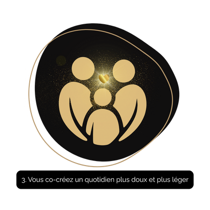 La Box Maison Aurora